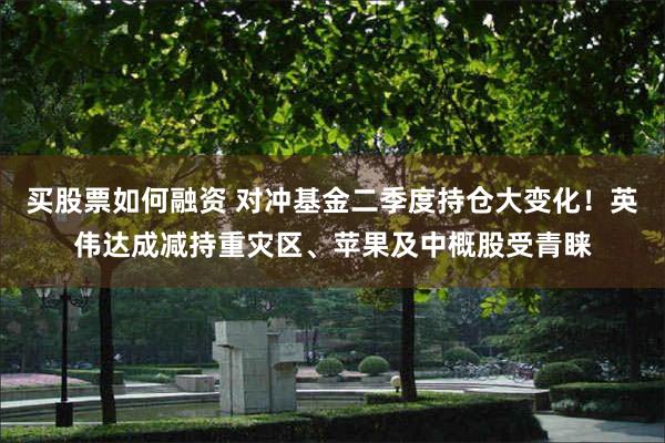 买股票如何融资 对冲基金二季度持仓大变化！英伟达成减持重灾区、苹果及中概股受青睐