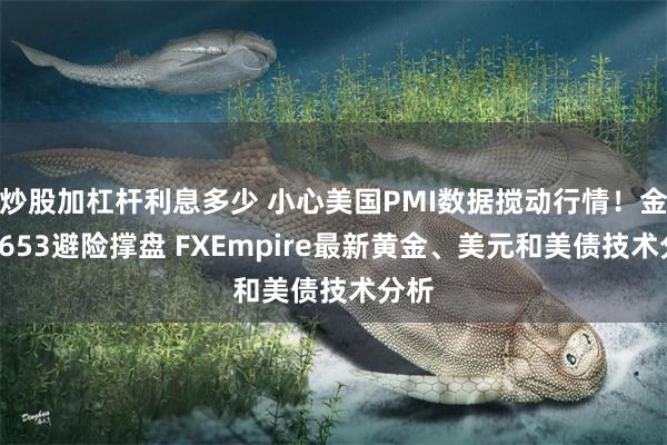 炒股加杠杆利息多少 小心美国PMI数据搅动行情！金价2653避险撑盘 FXEmpire最新黄金、美元和美债技术分析